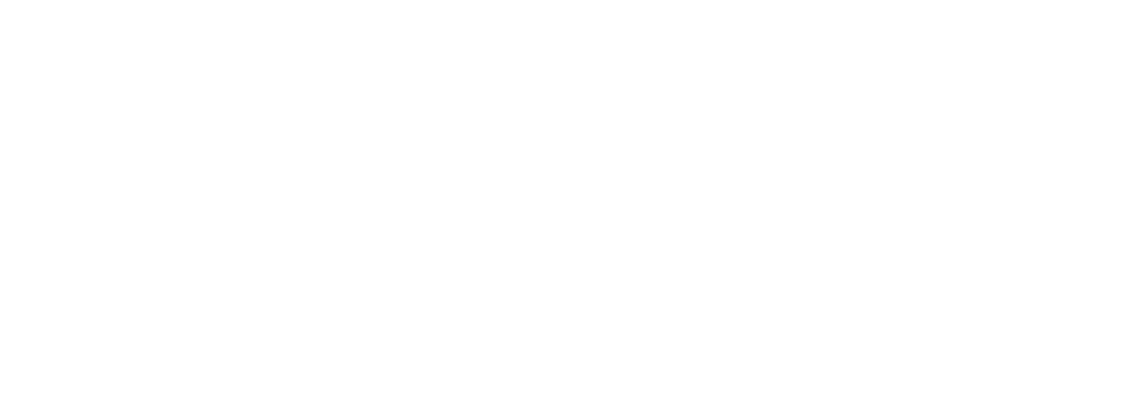 VidAU